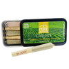 Pure Shenandoah Stabilize Pre-Rolls, 10-pack of 0.5 g hemp pre-rolls in a green tin, with one RAW pre-roll shown outside the container.